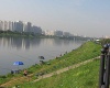   - 2006  